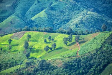 Güzel dağ ve tarım arazisi