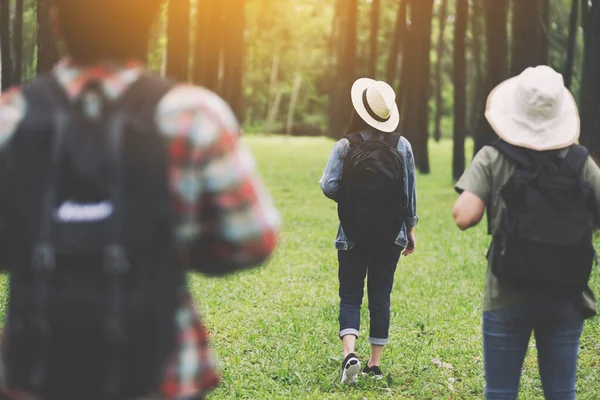 Grupo Viajeros Caminando Hermoso Bosque Pinos — Foto de Stock