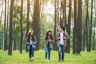 Bir grup gezgin yürür ve güzel bir çam ormanına bakar.