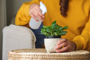 Evdeki bitkilerle ilgilenen ve çiçekleri sulayan bir kadının yakın plan resmi.