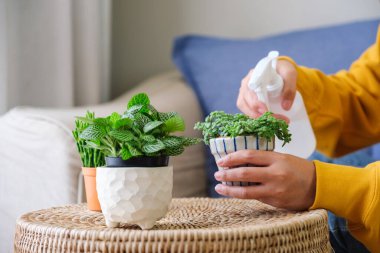 Evdeki bitkilerle ilgilenen ve çiçekleri sulayan bir kadının yakın plan resmi.