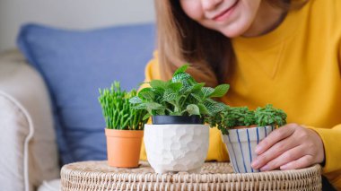 Evdeki çiçeklere bakan ve onlarla ilgilenen güzel bir genç kadının yakın çekimi.