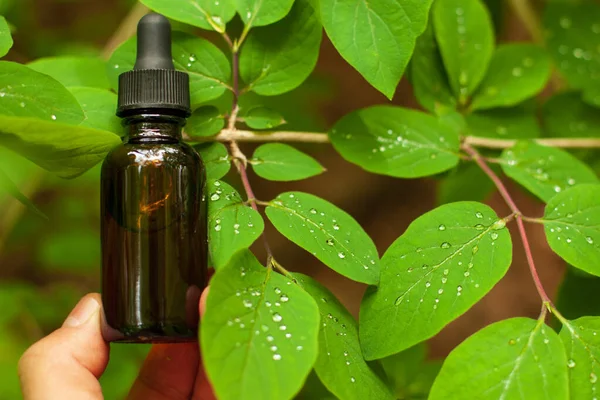 Garrafa Cosmética Marrom Soro Cara Óleo Corpo Entre Folhas Verdes — Fotografia de Stock