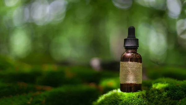 Herbal bottle on moss. Bokeh background provides, copy space. Natural remedium. Alternative Medicine.