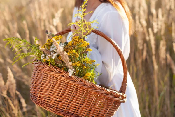 Mulheres Vão Carrega Uma Cesta Madeira Com Flores Silvestres Erva — Fotografia de Stock