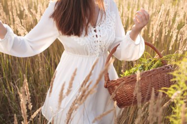 Elinde sepet dolusu taze koparılmış organik bitkiler olan bir kadın. Idyllic atmosfer