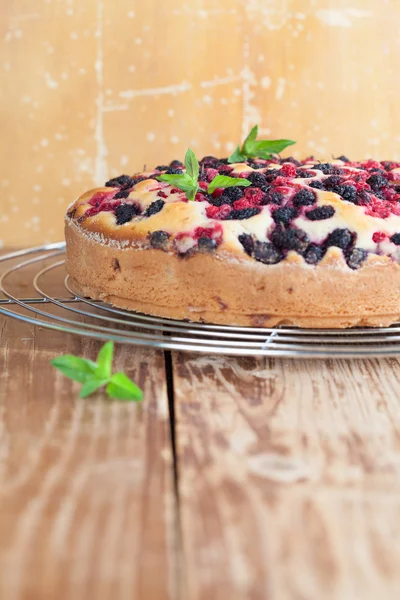 Dut ve kırmızı üzümü kek — Stok fotoğraf