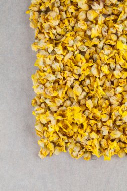 Kuru sığırkuyruğu çiçekler