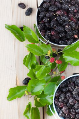 Dut küçük kovalar