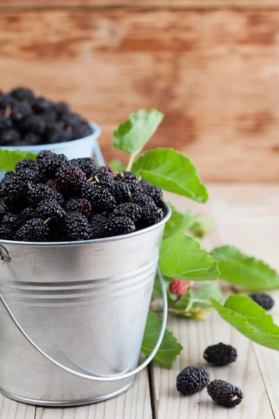 Mulberries in small buckets — Stock Photo, Image