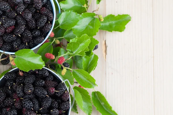 Moras en cubos pequeños Imagen De Stock