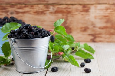 Dut küçük kovalar