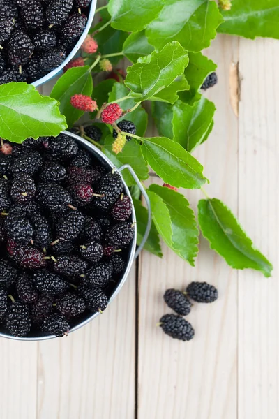 Mulberries in small buckets — Stock Photo, Image