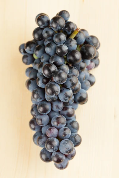 Aglomerado de uvas azuis — Fotografia de Stock