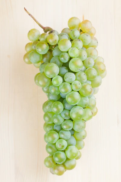 Green grape cluster — Stock Photo, Image