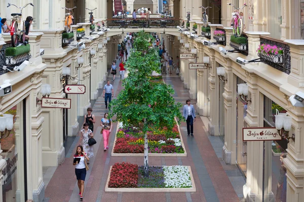 Artificial trees and balconies decorated bicycles in GUM store — Stock Photo, Image