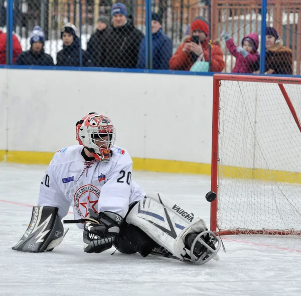 Goalkeeper playing sledge hockey — Stock Photo, Image