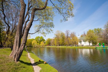 Ağaçlar, gölet ve Catherine Park ahşap köşk