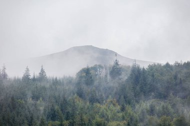 Ladybower 'ın Peak District Ulusal Parkı' ndaki rezervuarından puslu, sisli manzara manzaraları, İngiltere 'nin sisli havası, rezervuarı çevreleyen ormanlık alandan yükseliyor..