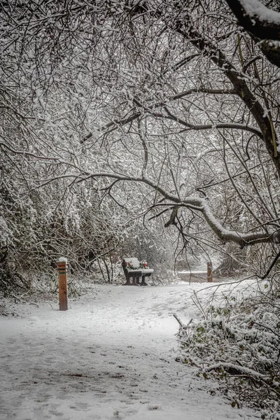 英国降雪后 一条穿过林地的小路 — 图库照片