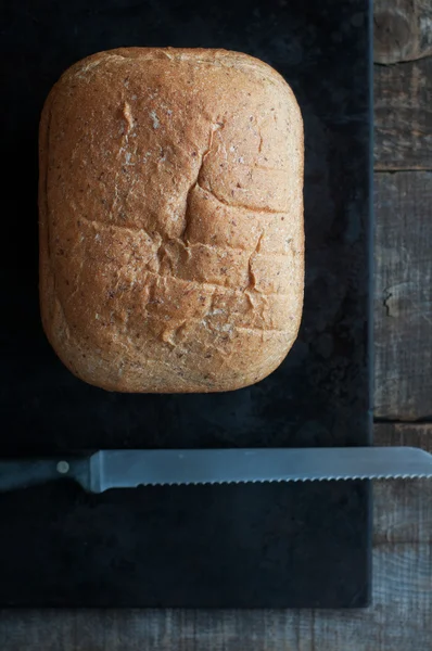 통밀 빵 — 스톡 사진