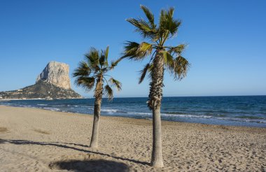 Penon de Ifach, palmiye ağaçları ve Akdeniz'in Calpe, İspanya.