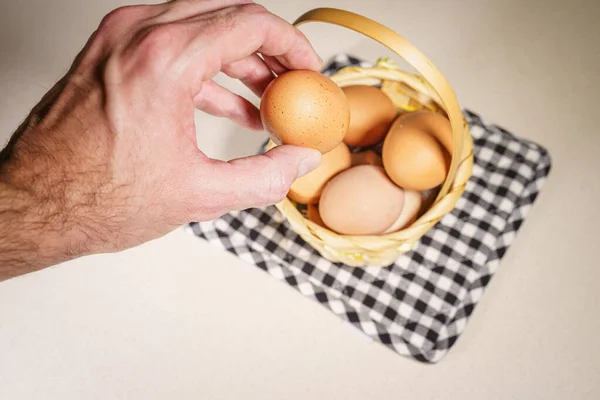 Hand putting an egg in a basket, concept of financial risks