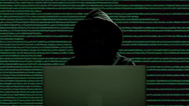 Silueta de un hombre en una capucha que trabaja como hacker en la computadora en el cuarto oscuro por la noche, hackeando el sistema y lanzando información secreta. — Vídeos de Stock