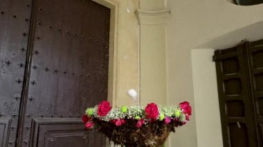 Dans eden yumurtanın yavaş çekim görüntüsü mü yoksa Corpus Christi 'deki balla mı?
