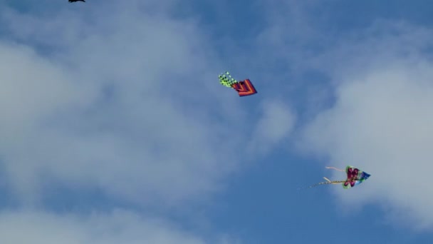 3 kytes 3 vliegers vliegen tegen een bewolkte lucht. Een van hen is een Halloween vlieger. — Stockvideo