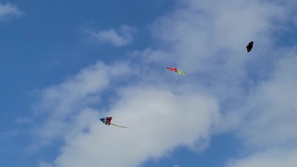 3 kytes 3 pipas voando contra um céu nublado. Um deles é um papagaio de Halloween. — Vídeo de Stock