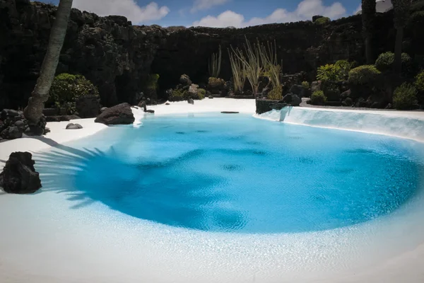 iç havuz içinde los jameos del agua, lanzarote Adası