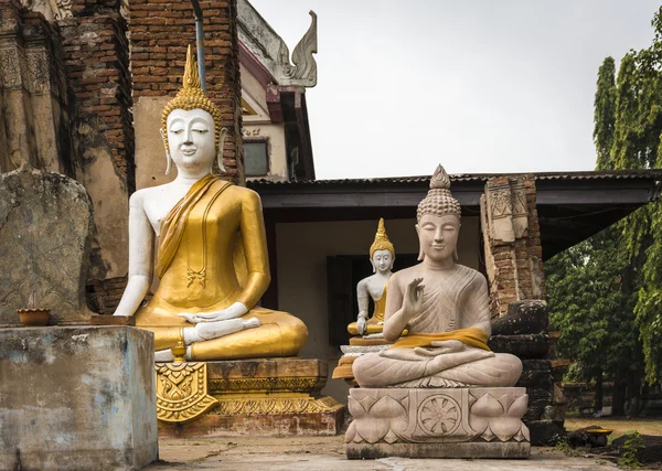 Buddha statyer på wat phu khao thong i ayutthaya. Thailand. — Stockfoto