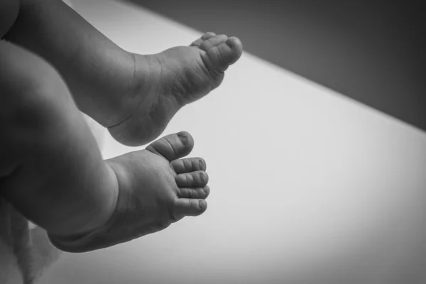 A close-up of tiny baby feet in black and white. — Stock Photo, Image