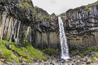 Svartifoss şelale bazalt sütunlarla. Skaftafell Milli Parkı, İzlanda