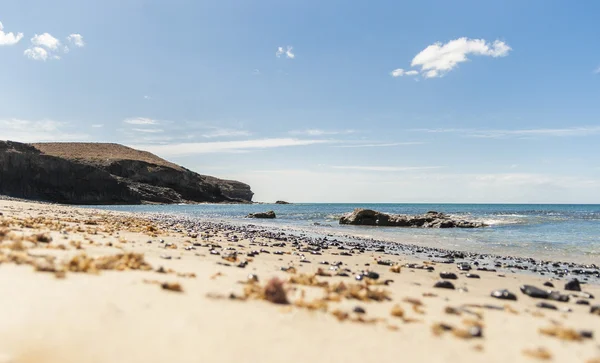 Divoká pláž na ostrově Fuerteventura, Kanárské ostrovy. Španělsko. — Stock fotografie