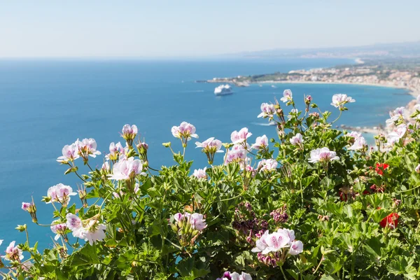 Fiori di geranio con paesaggio marino in Sicilia — Foto Stock