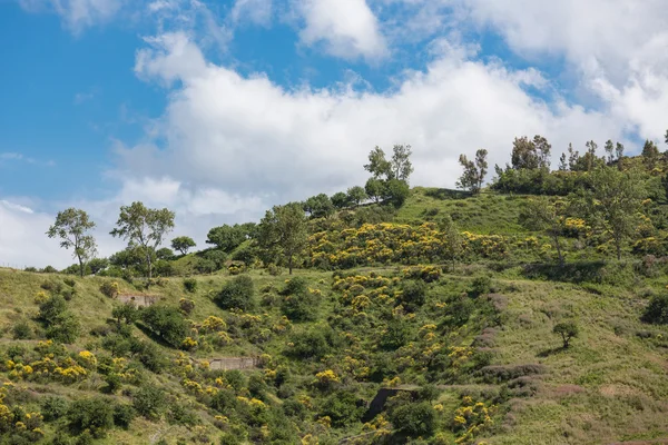 Siciliaanse binnenland met bergen, bloeiende struiken en bomen — Stockfoto