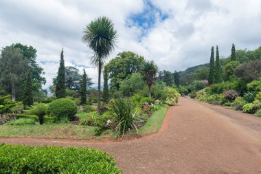Madeira Adasındaki Palheiro Bahçeleri 'ndeki patika.