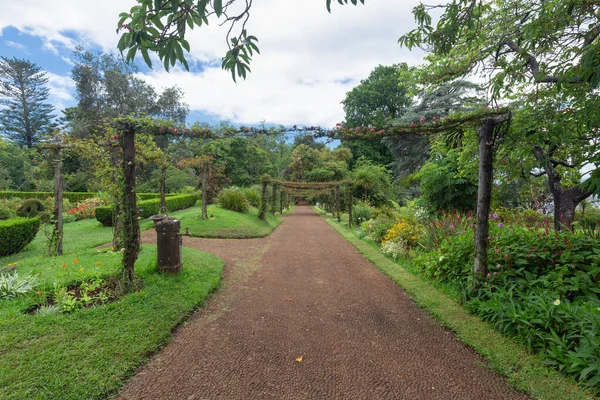 Sentier pédestre dans les jardins Palheiro à l'île de Madère — Photo