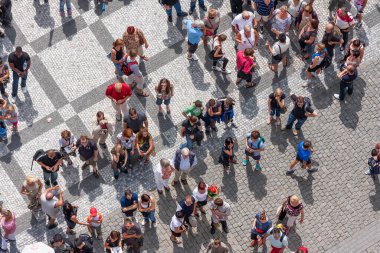 Praha Belediyesi 'nden aşağıya doğru bakan at arabası görüldü.