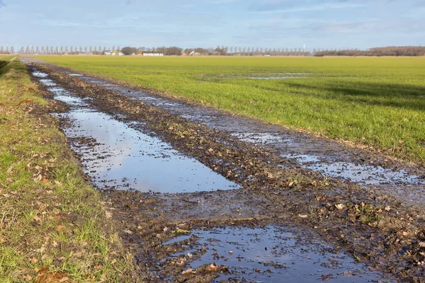 Paysage agricole néerlandais avec piscines d'eau après une douche de pluie — Photo