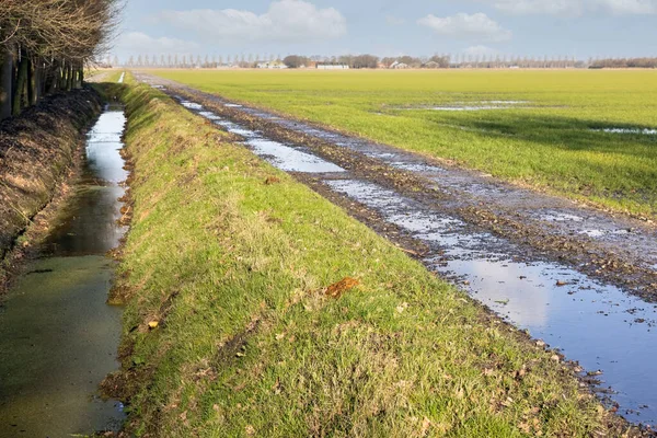 Paesaggio agricolo olandese con piscine d'acqua dopo una doccia a pioggia — Foto Stock