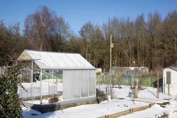 Jardin d'affectation près de la lisière de la forêt couverte de neige — Photo