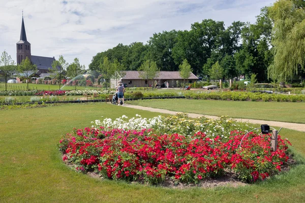 Lottum Holanda Junho 2021 Pessoas Perguntando Belas Rosas Jardim Público — Fotografia de Stock