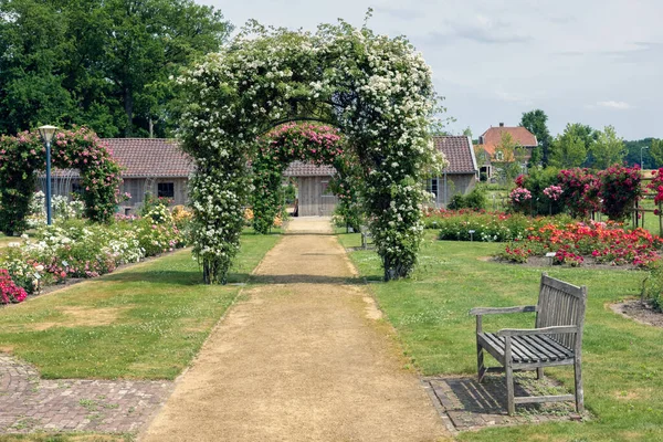 Dutch rose garden with pathway, wooden bench and pergola