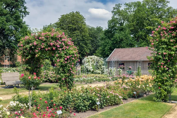 Dutch rose garden with pathway, wooden bench, shed and pergola