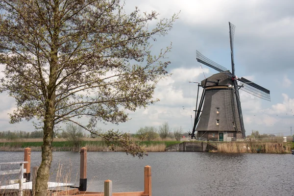 Stary zabytkowy wiatrak w Holandii — Zdjęcie stockowe