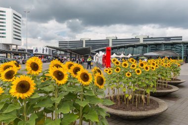 Airport square with sunflowers and travellers at the airport of Amsterdam clipart
