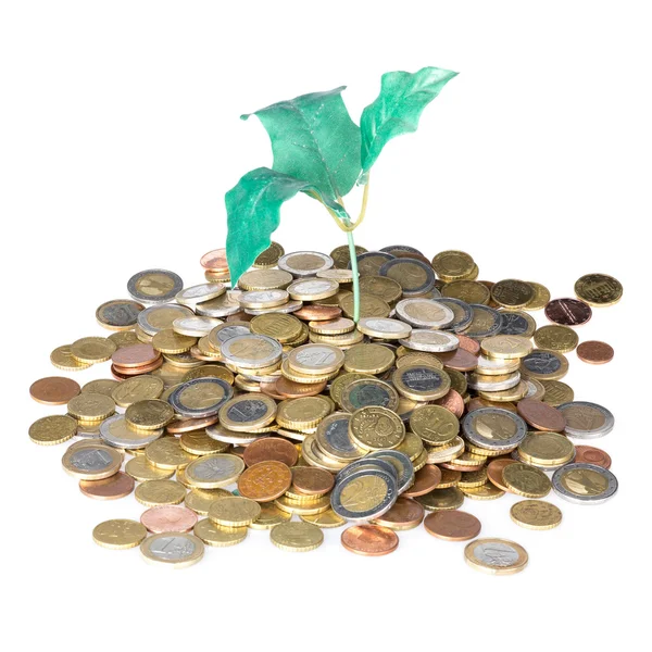 Pile of coins with money tree isolated at a white background — Stock Photo, Image